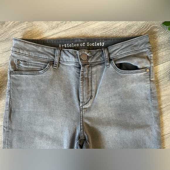 Articles of Society Sarah Skinny Baker Ankle Jeans in Grey Ombré. Size 29 - Picture 2 of 12